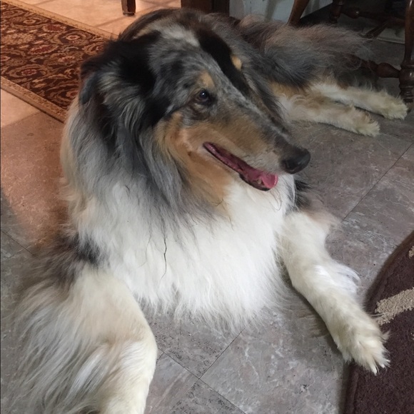 Meet your Posher, Laura - Picture 8 of 8